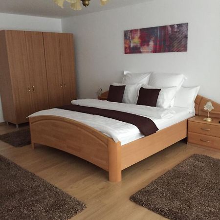 Apartmán Xenopol Grand Studio Sibiu Exteriér fotografie