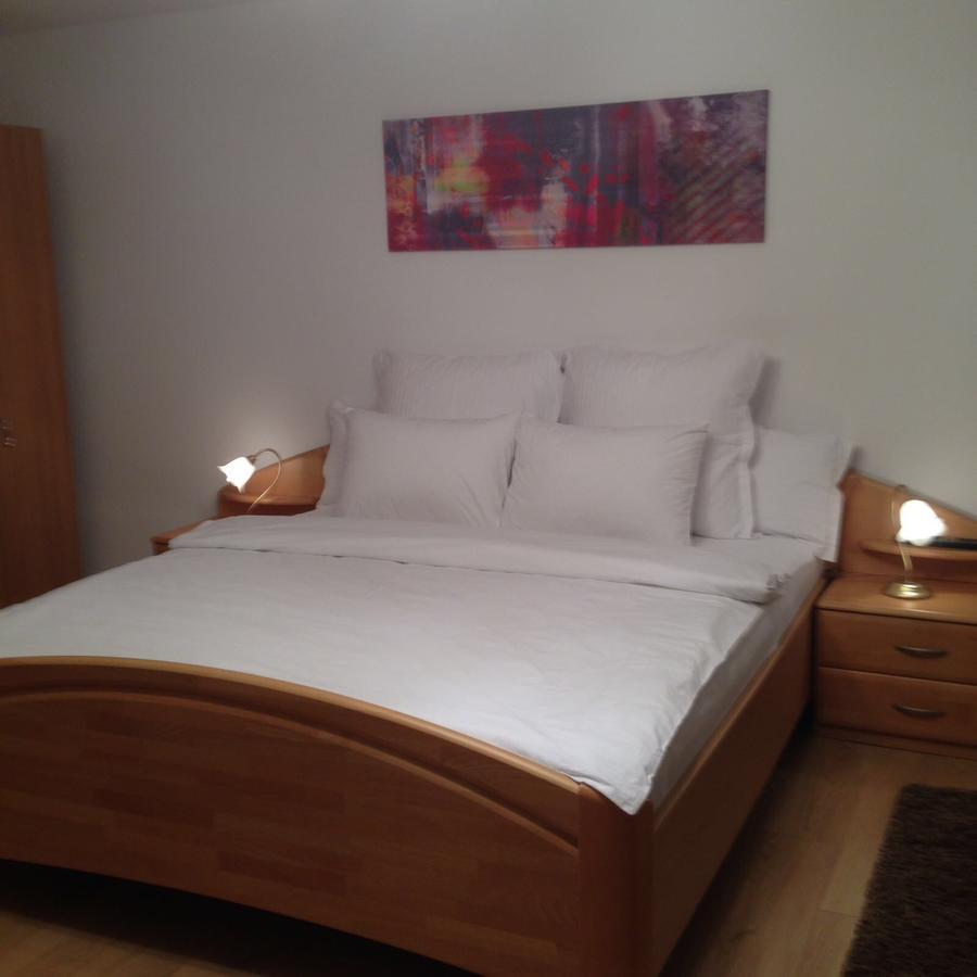 Apartmán Xenopol Grand Studio Sibiu Exteriér fotografie