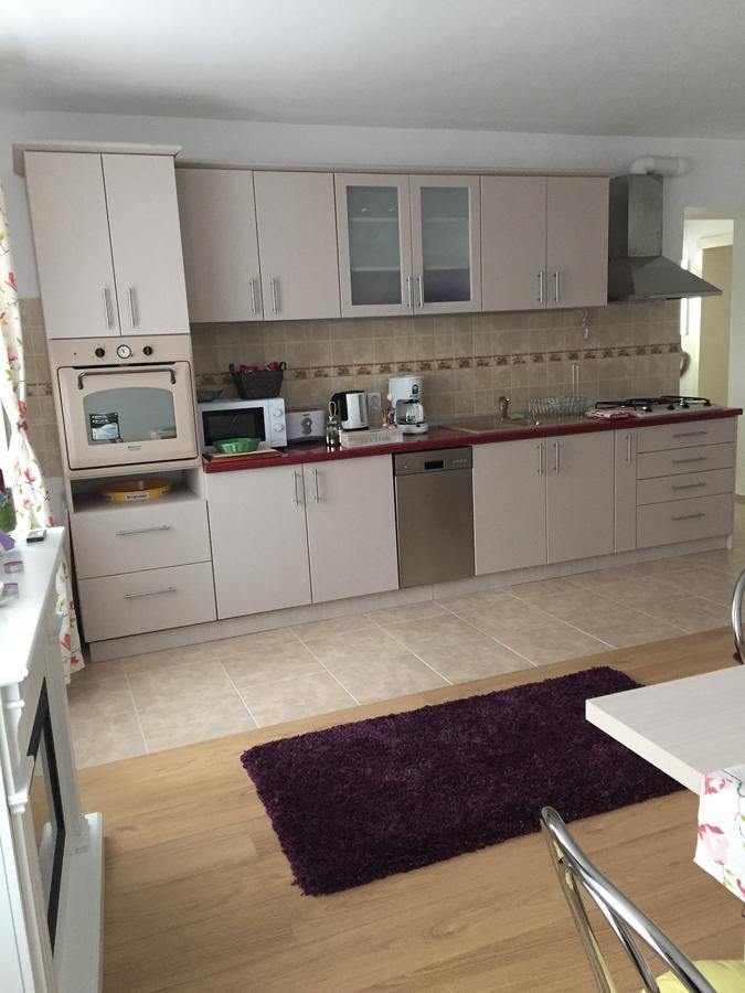 Apartmán Xenopol Grand Studio Sibiu Exteriér fotografie