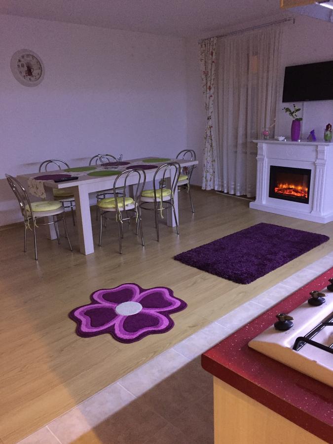 Apartmán Xenopol Grand Studio Sibiu Exteriér fotografie