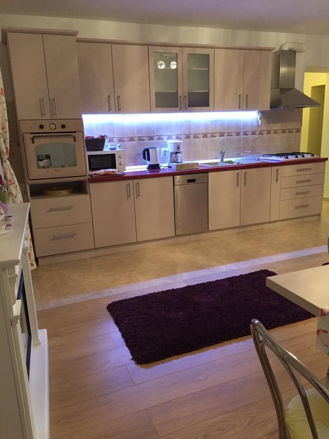 Apartmán Xenopol Grand Studio Sibiu Exteriér fotografie